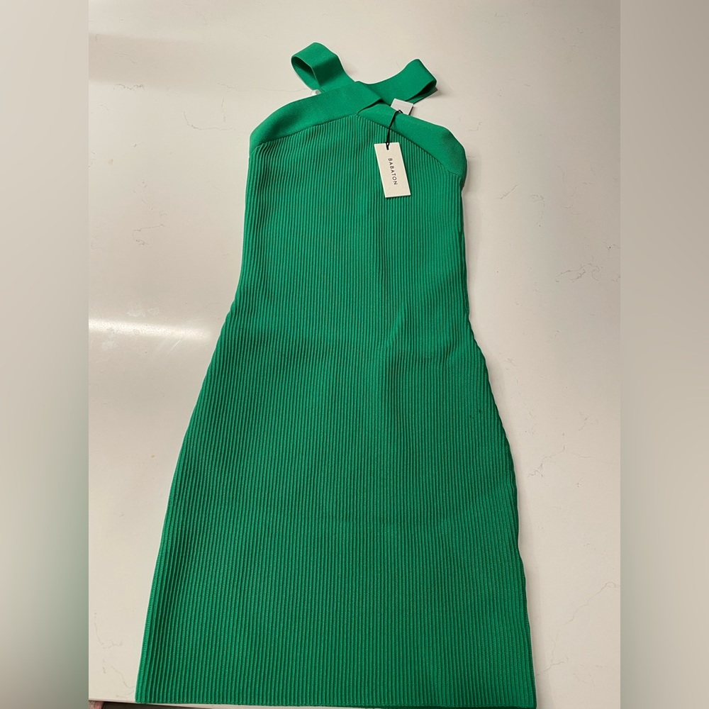 Aritzia Babaton Dress